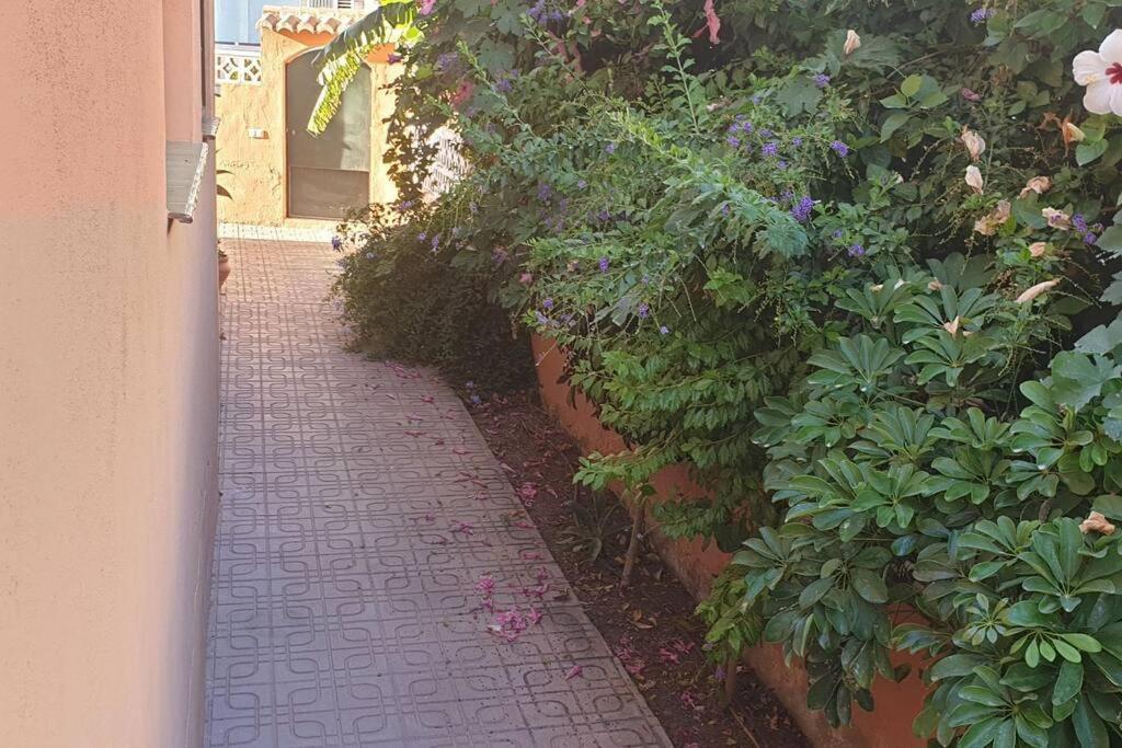 Casa Hurtado De Mendoza Pequena Almuñécar エクステリア 写真